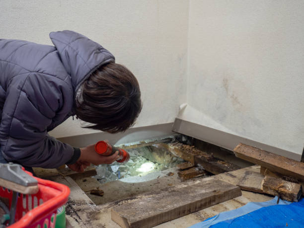 Best Crawl Space Mold Remediation  in Kiln, MS